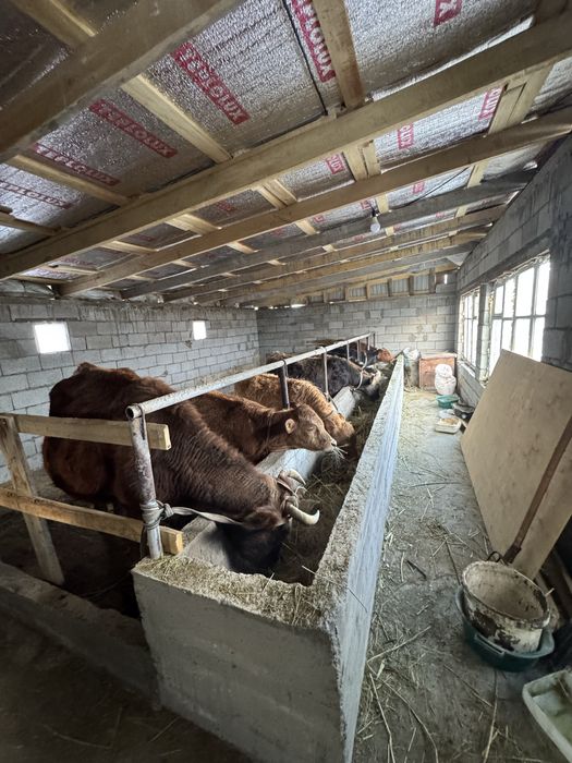 Подсостар сатылады