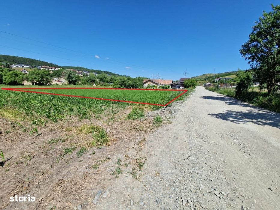 Teren intravilan 2000 mp – Popesti (Baciu) Ideal pentru casa, gradin