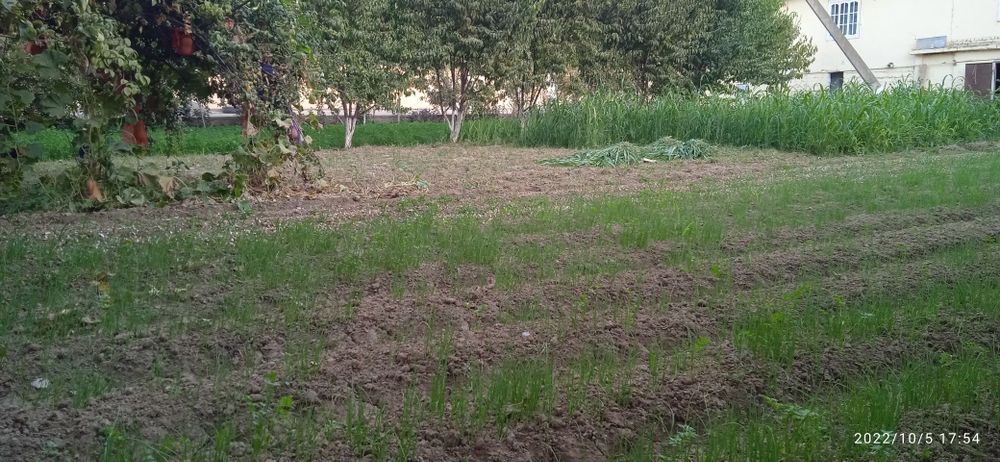 16 sotixik tayyor uy sotiladi.