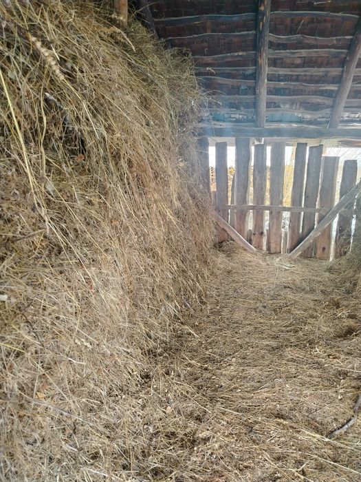 Fân de vânzare pentru animale
