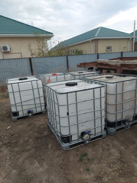 Тонник евро  IBS