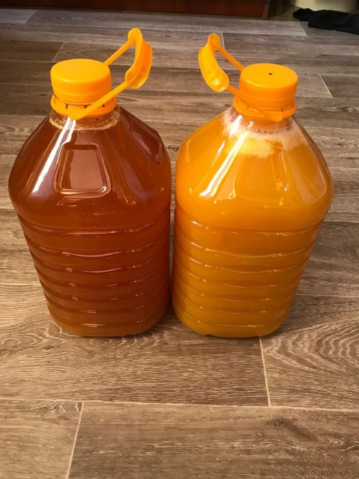 Продам лесной мёд