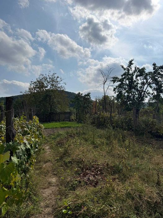 Casa traditionala cu teren de 1.600 mp, livada si vita-de-vie – Garlenii de Sus, Bacau