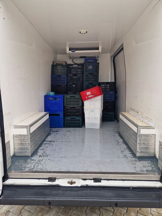Fiat Ducato frigorific