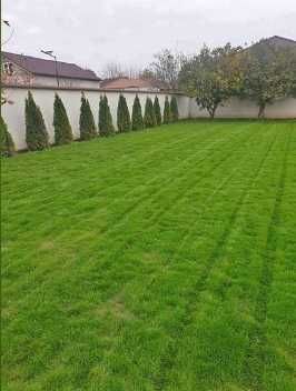 Gazon Rulou si sisteme de irigati