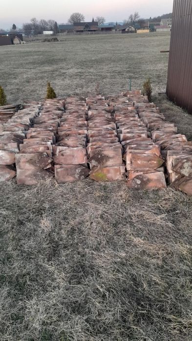 Tigla solzi pește la 1. Leu bucata.