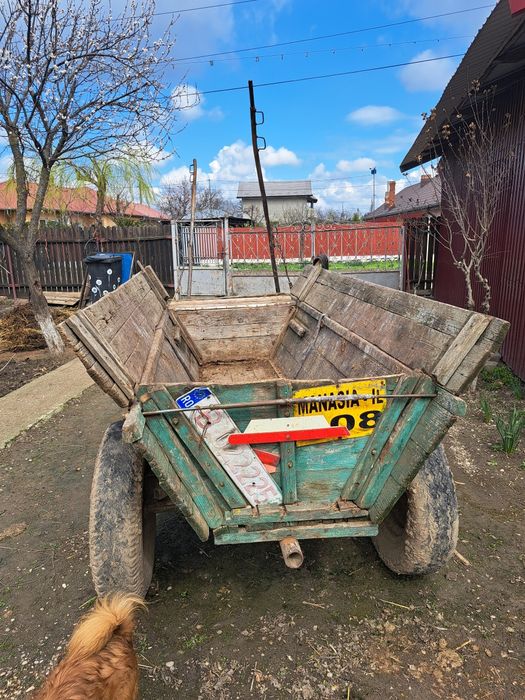 Vând cal iapă  11 ani  și căruță cu ham iapă ascultătoare și cuminte.