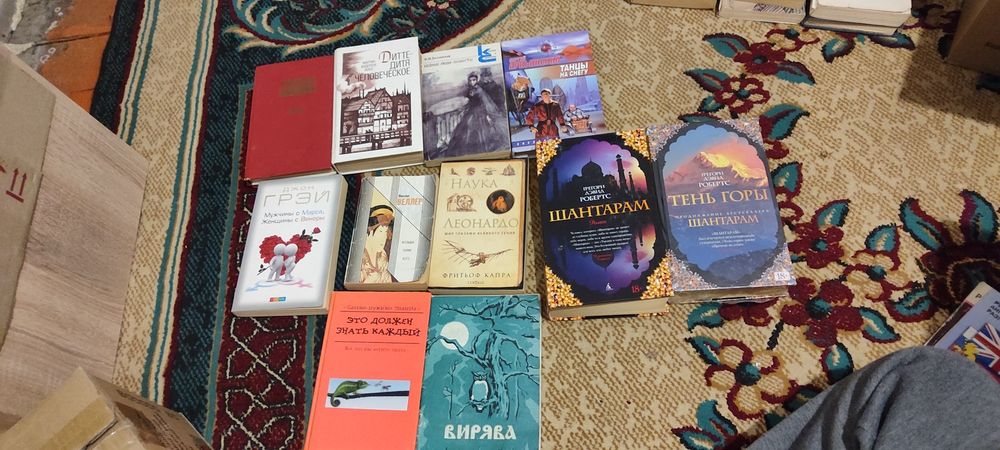 Книги: Шантарам, Тень горы, Дитте, Леонардо, Джон Грей