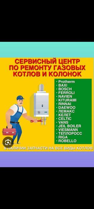 Ремонт Газовых Котлов и калонка