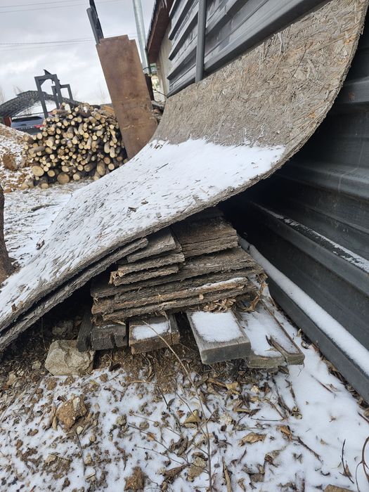 Дрова бревна клен карагач