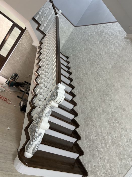 Лесниса зиналарр