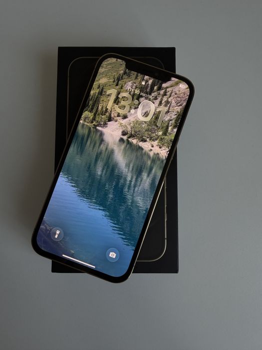 iPhone 12 pro max