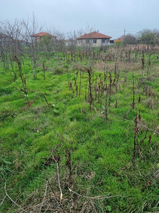 Продава се Парцел в Балчик - 1800 кв.м за 10 €/кв.м - Снимка #1