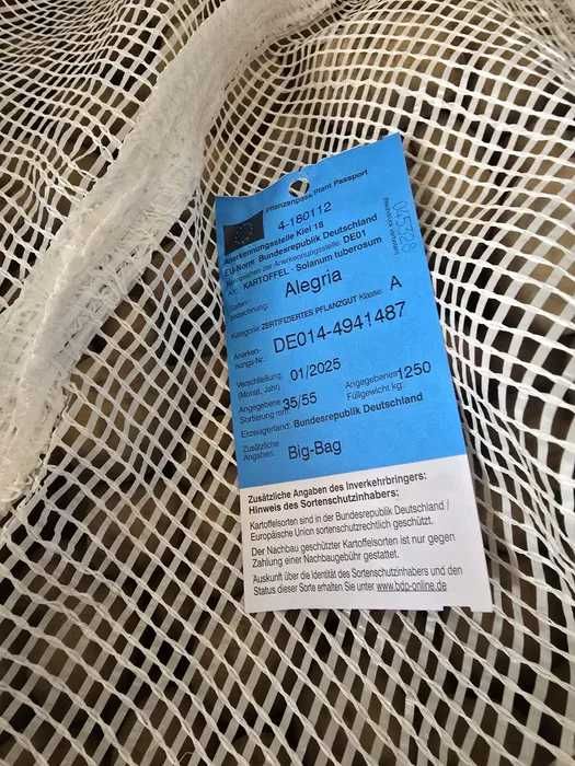 Samanta cartof clasa A