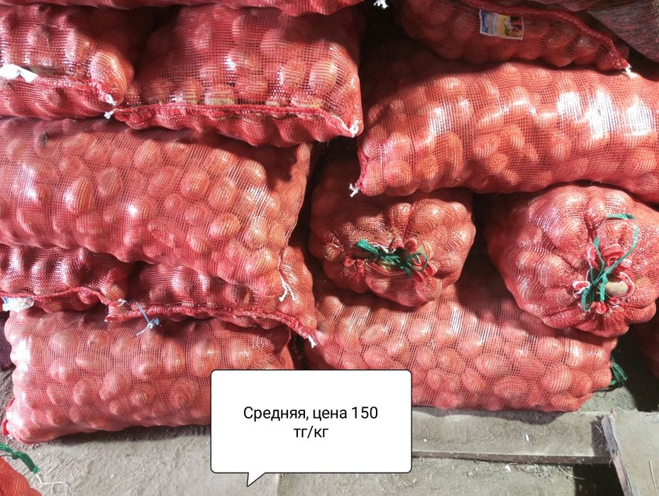 Кортофель домашний