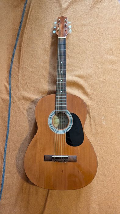 Акустическая гитара Hora D1240
