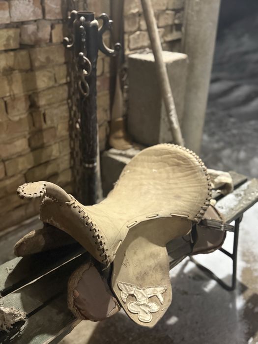 Ертокым  жылқыға