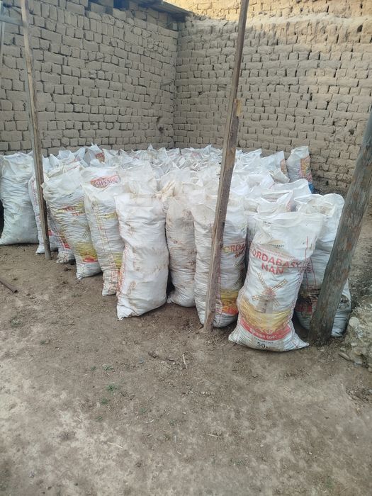 Сиырдың жылдық көңі.