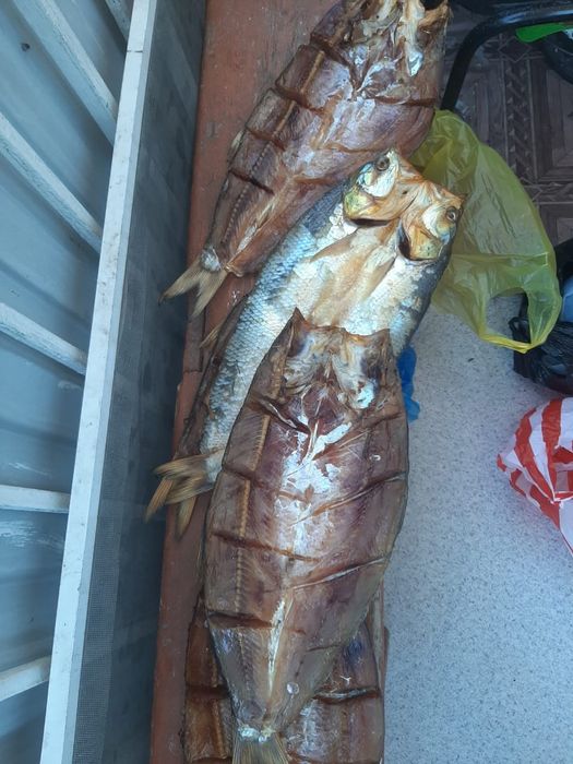 Капчоны рыба свежий