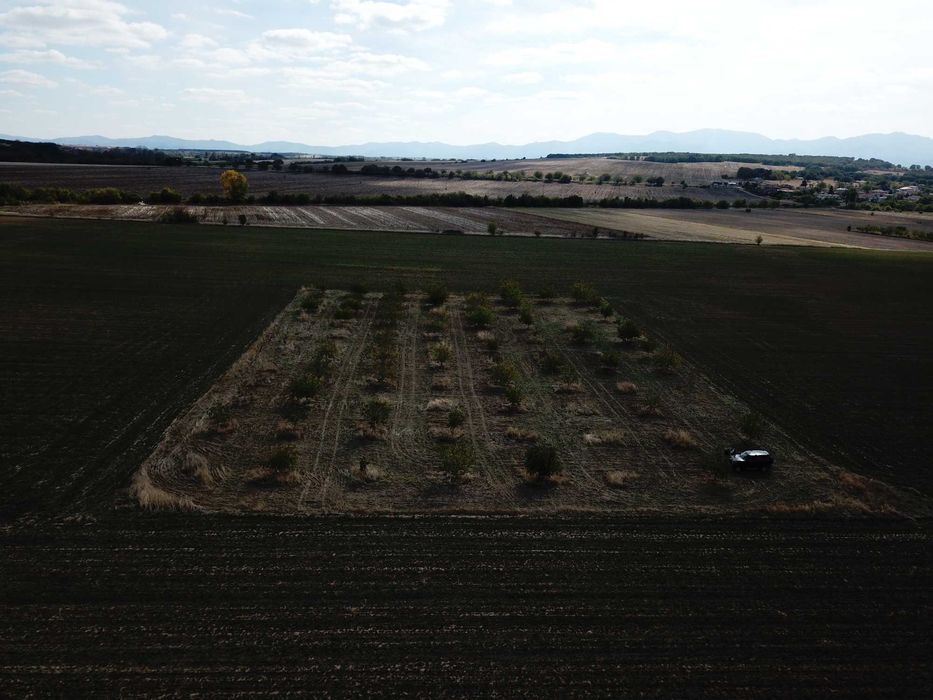 Продавам орехово градина 6650кв.м. в село Козаново