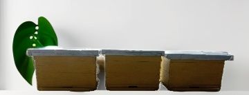 Асал ари яшиглари сотилади. 16 та рамкалик.