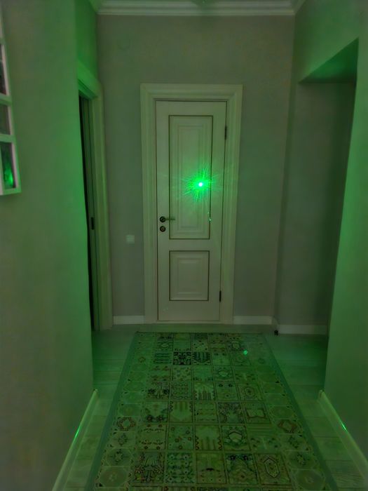 Green Laser Pointer