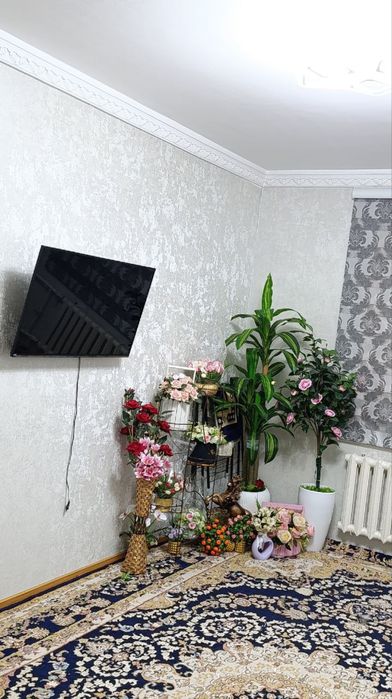 Ялангач институт Культуры 3/1/4