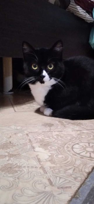 Лучший подарок на Новый год!