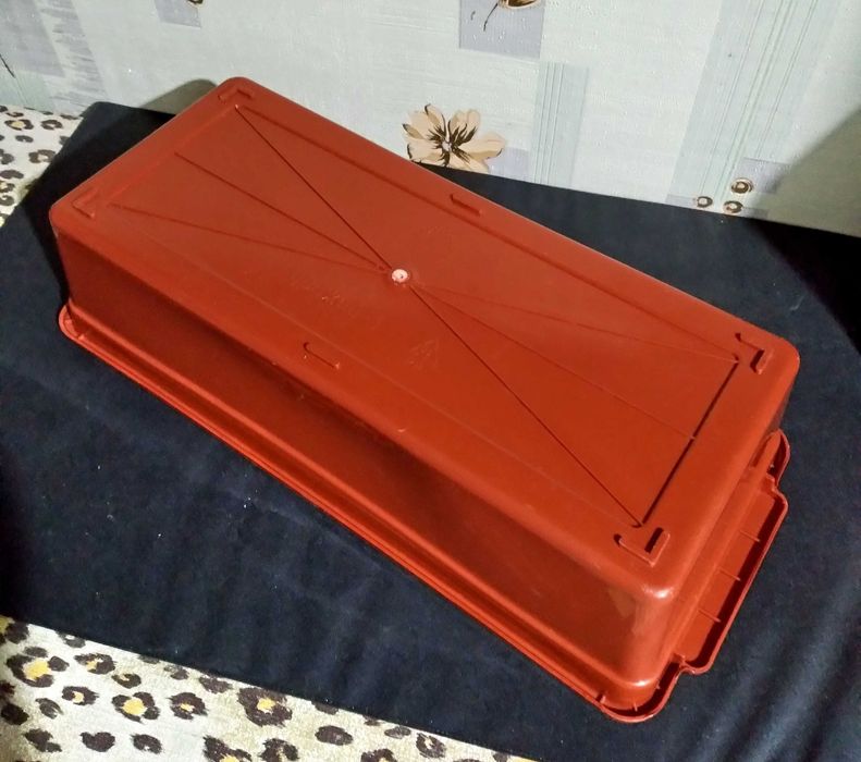 Набор для проращивания зеленого лука