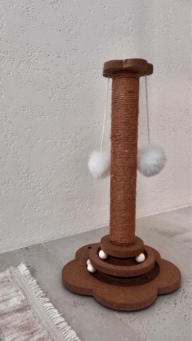 Котенок шотландский скоттиш