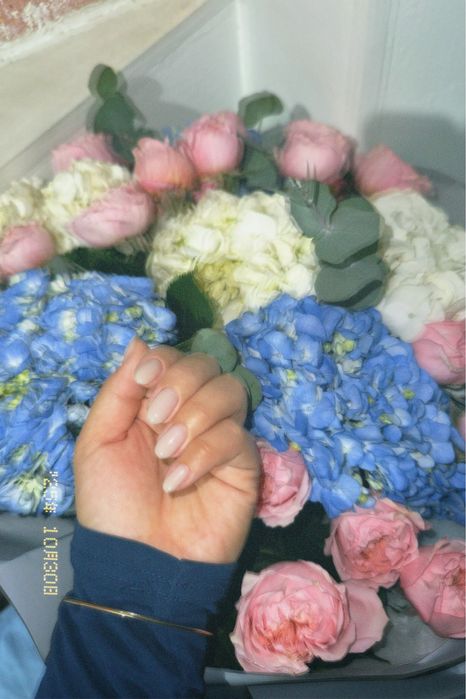 Гүл сатылады, бағасын келісеміз.