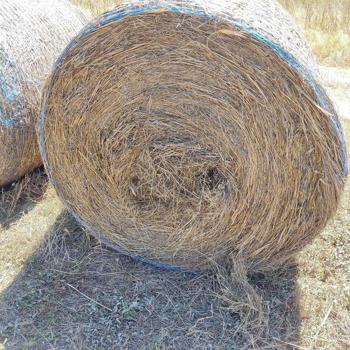 Бали ливадно сено и люцерна
