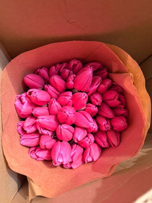 Тюльпан оптом Семей
