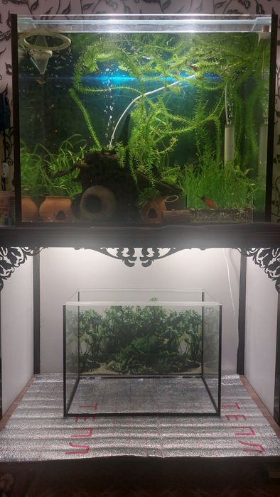 Аквариум  200 лит. Продам!