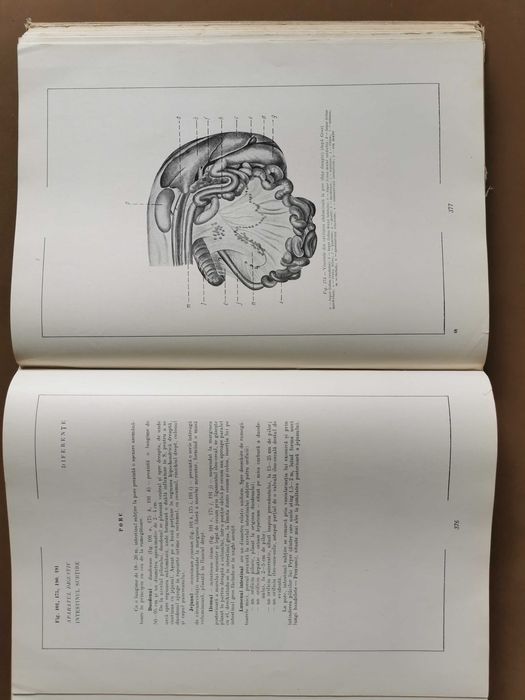 Atlas de Anatomie Comparativă
