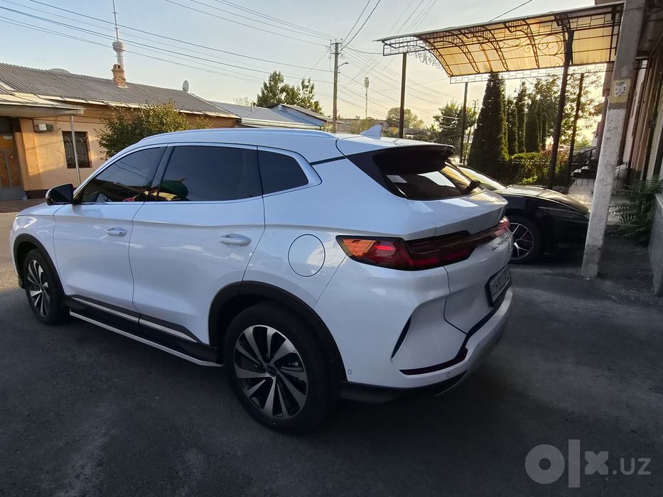 Byd champion 605 тали 2023 yil