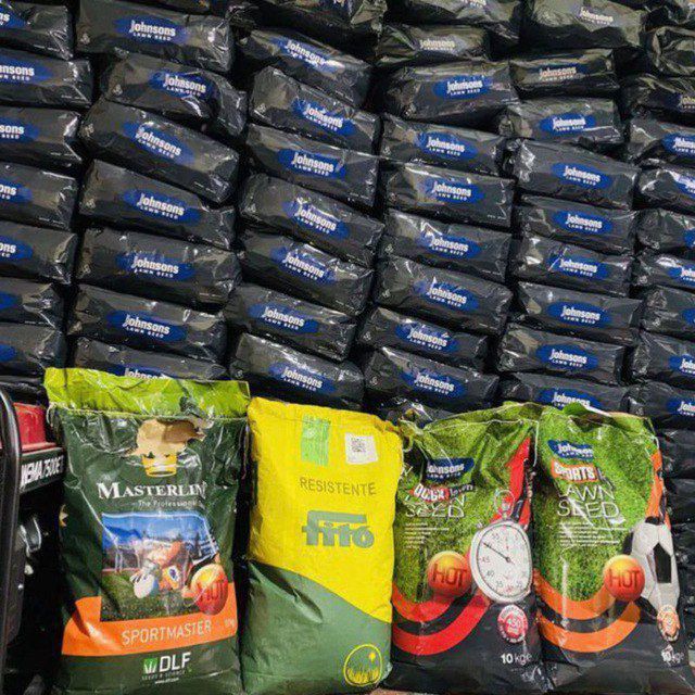 Газоны рулонные Дания.³³. Ландшафтный дизайн