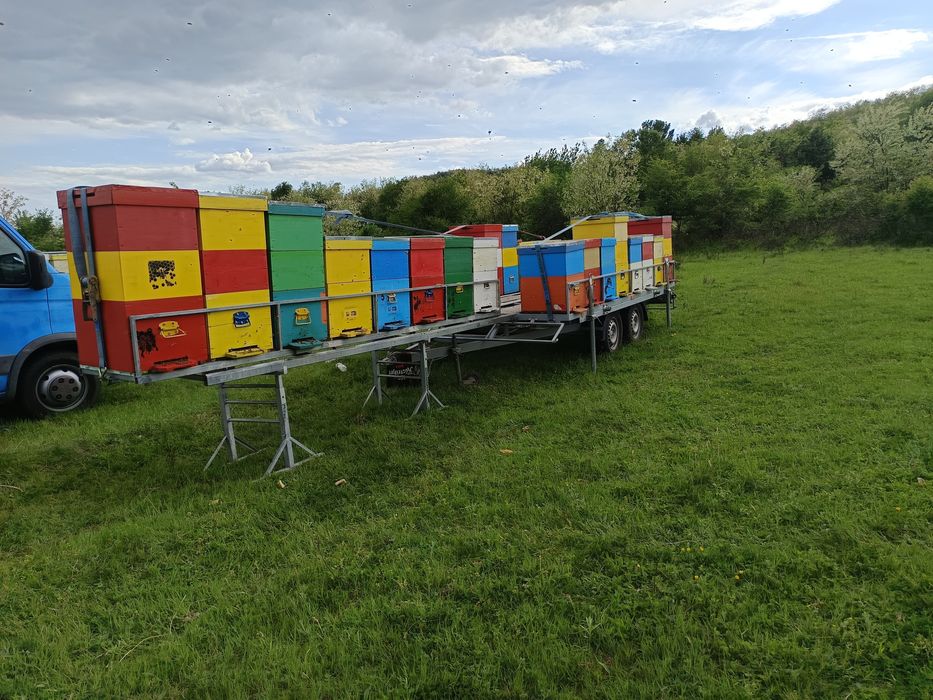 Vând remorcă apicolă