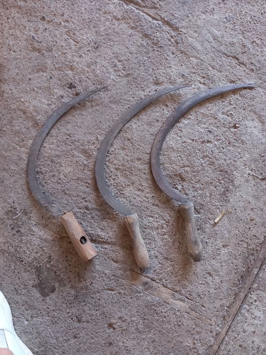 Рало за оран, теглилка за кон, коса...