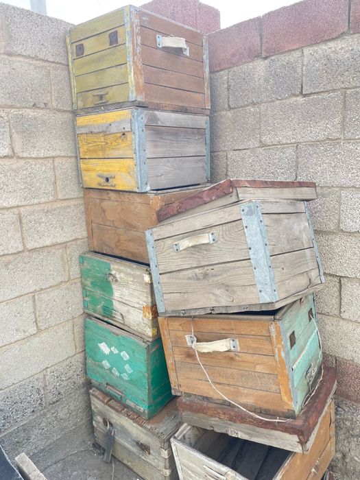 Улей, гнездо пчел