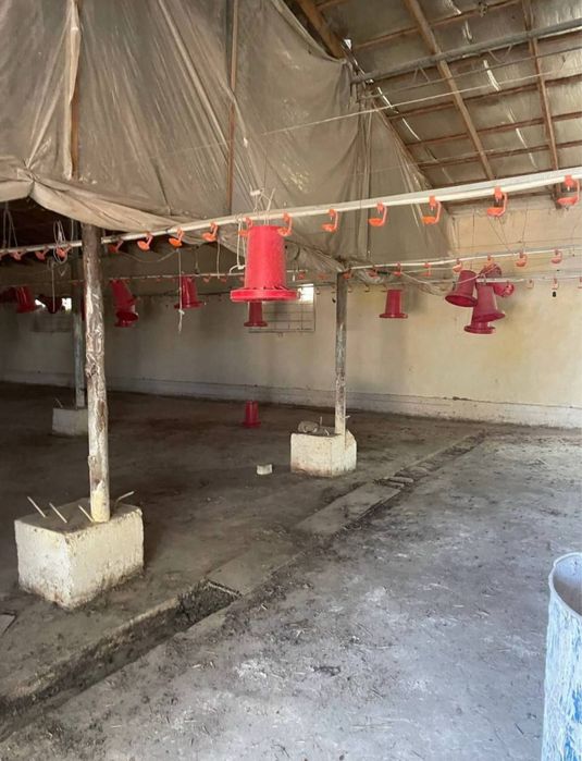 Срочно Продаётся под бизнес готовый ферма адрес звоните