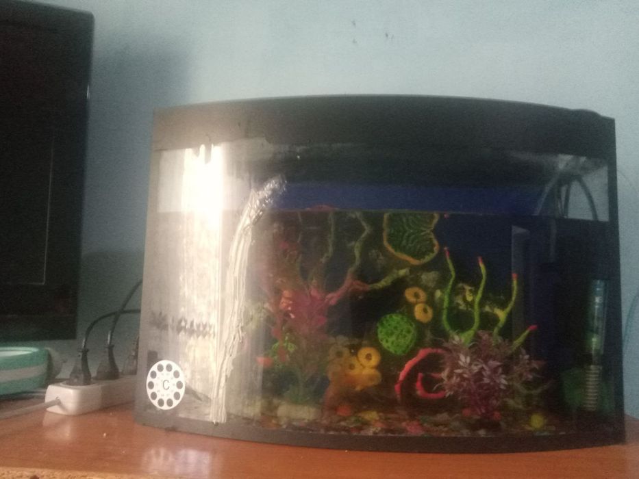 Продается аквариум причина продат время нету ухаживат