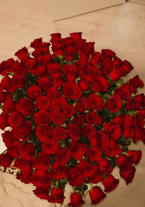 Свежые розы 101, хочу продать только что пришли от ухожера