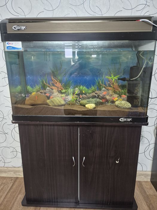 Аквариум с рыбками