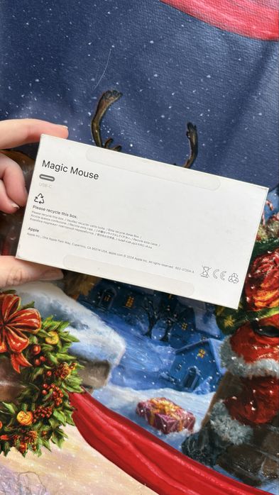 Magic mouse 2024
