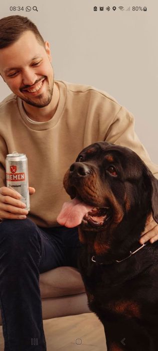 Шикарный кобель для вязки