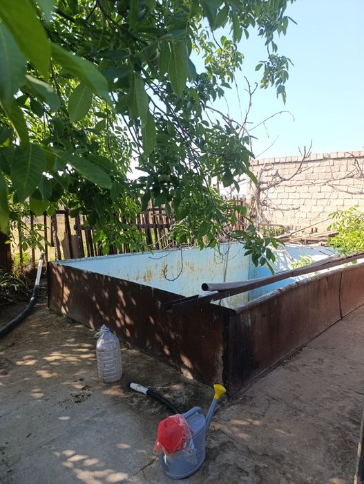 Дача янги Узбекистон