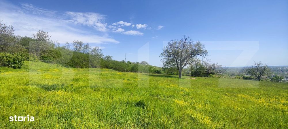 Teren Panoramic 15.500 mp – Investitie sau Dezvoltare, Zona Aleea Ma