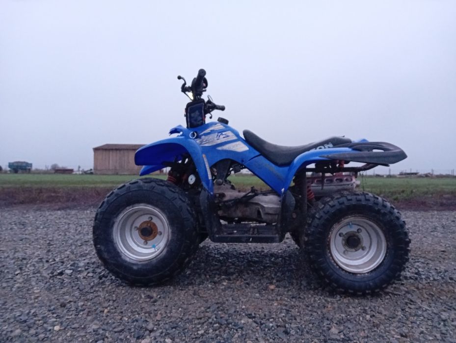 ATV 100CC aeon cobra