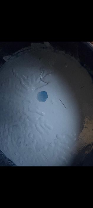 Краска для стен моющая